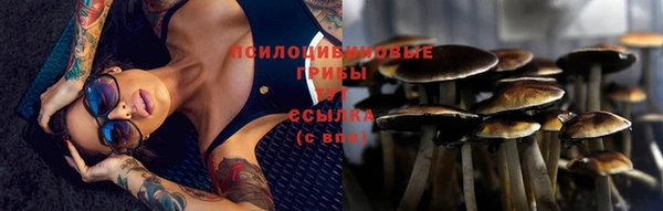 твердый Балабаново