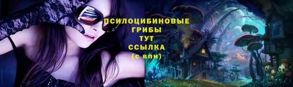 MDMA Белокуриха